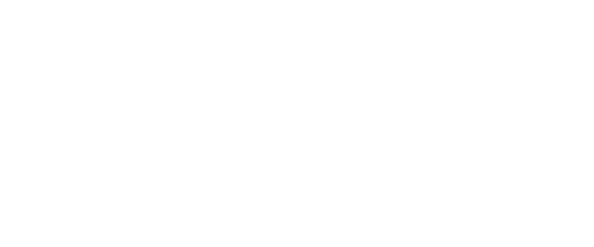 Rioterra logo