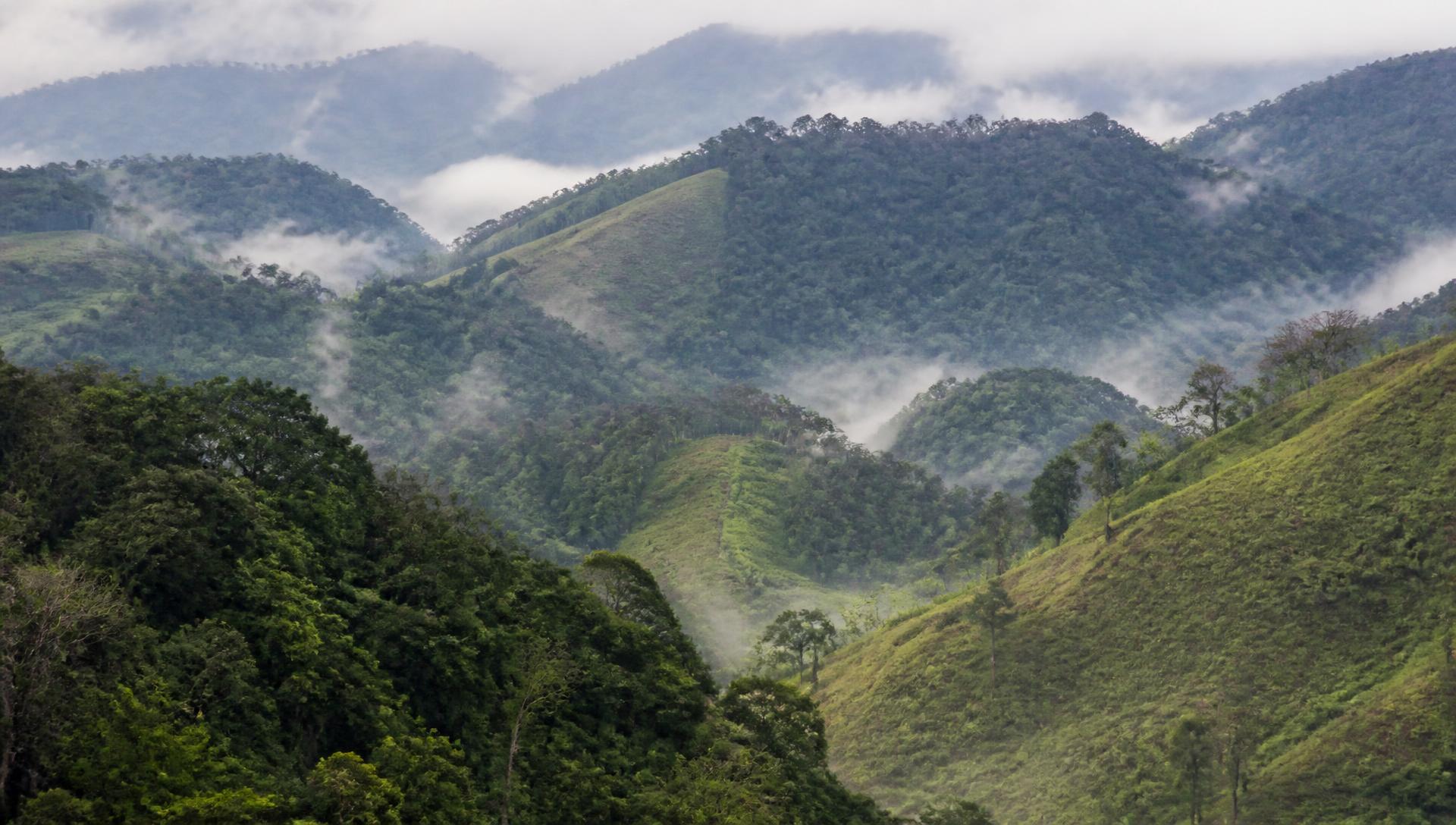 Fragmented green hills of the Brazilian Atlantic Forest